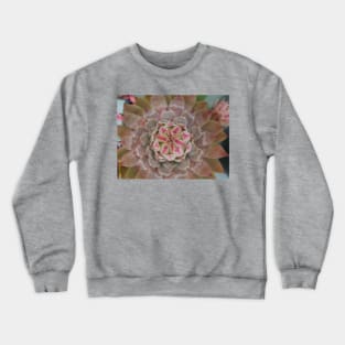 Sempervivum Bird Eye Arial View Crewneck Sweatshirt